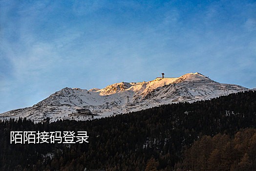 百度拉新接码