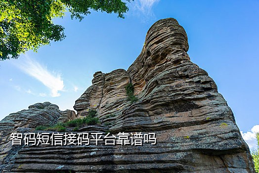 接码短信APP破解