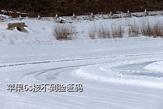 zalo接码