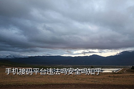 soul接码安全吗
