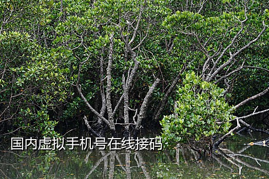 接码被注销的手机