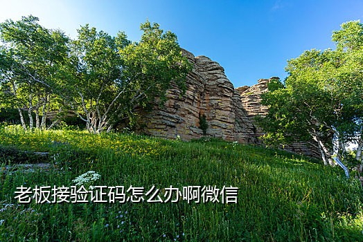 Python短信接码