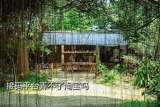 1698短信接码