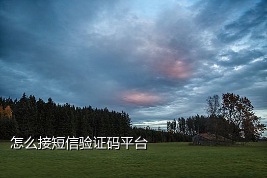 接码 中国 抖音