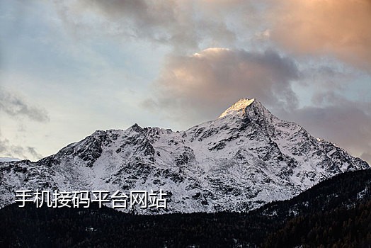 做短信接码犯法吗