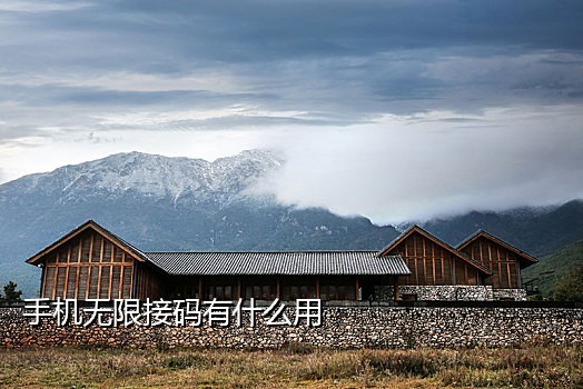 座机接不了短信验证码吗