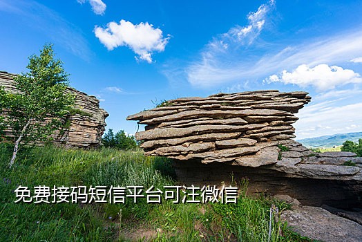 最新接码短信平台下载安卓