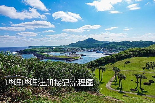 注册微信接验证码平台