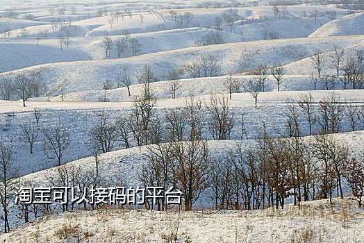 注册接验证码苹果