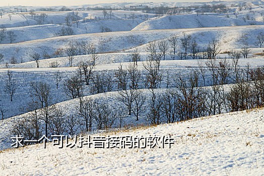 中介接微信付款码