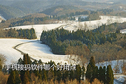 智码手机验证码接码