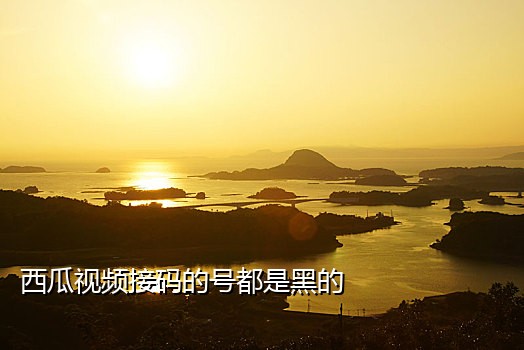 长期留号短信接码