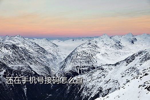 在线手机接码平台