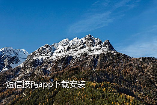 云享接码手机app下载