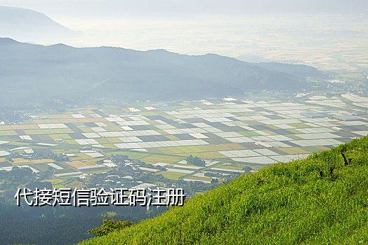 原神接码短信模板