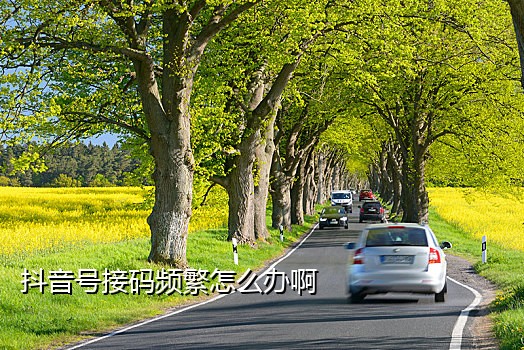 有码短信接码平台