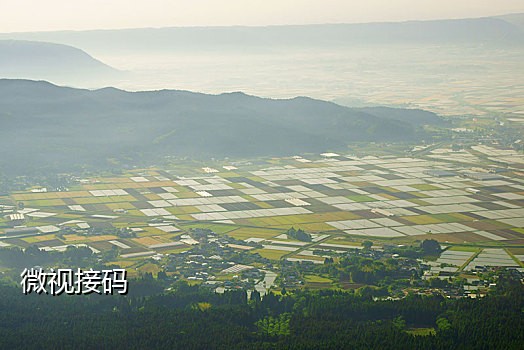 用淘特扫码接快递