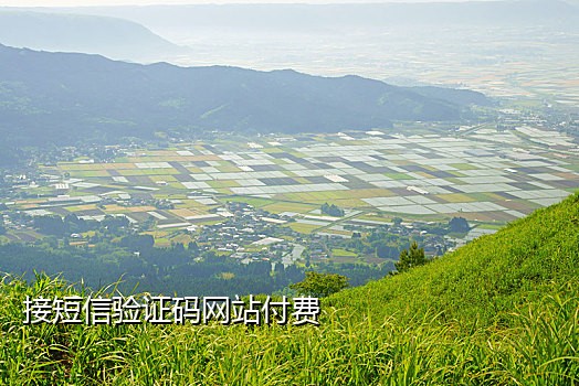 印度手机号码接码平台