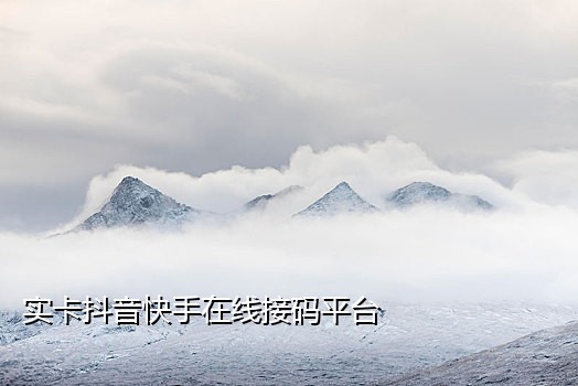 隐私短信接码平台都没用