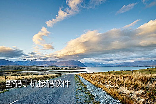 移动手机号接码平台