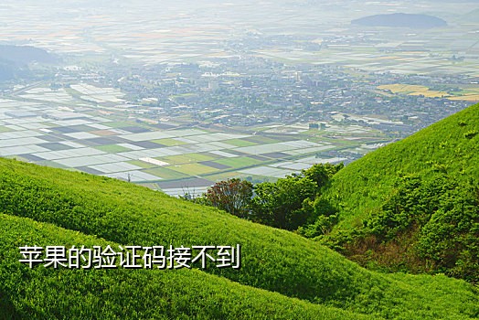 虚拟手机号接码短信平台