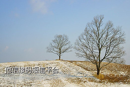 虚拟号接码注册微信