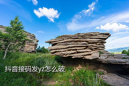 小米手机接验证码给钱