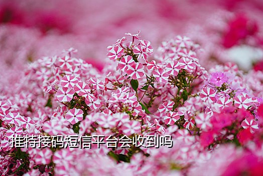 小红书接码平台有哪些