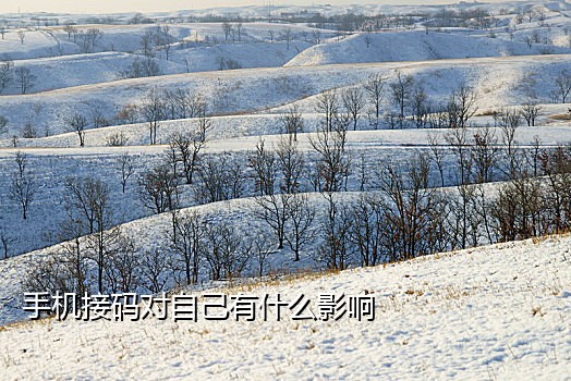 闲鱼号接码