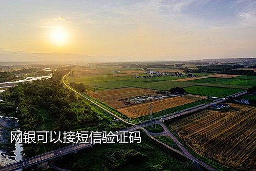 为何手机转账接不到验证码