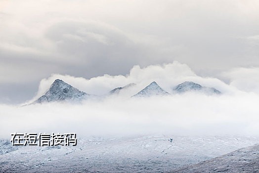 柬埔寨手机接码平台