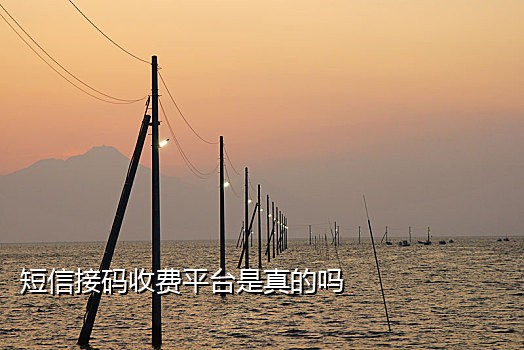 微信免费无限接码平台