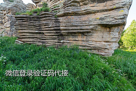 微信没法接验证码怎么登录