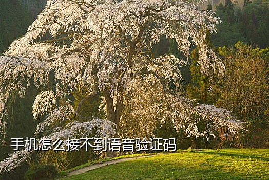 微信代接码绑定