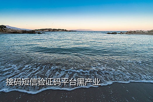 网易新闻接码平台官网入口