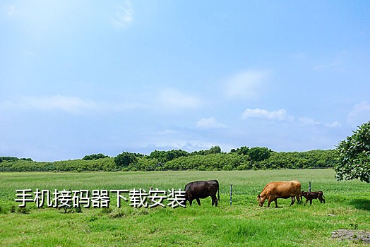网推项目京东接码