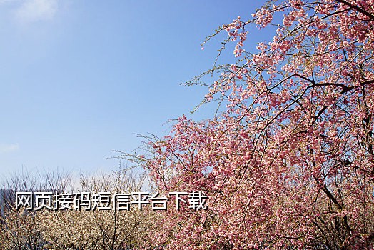 淘宝注册接码 2018