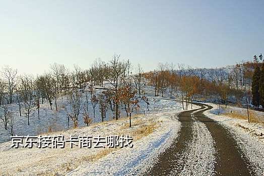 随机手机号接码