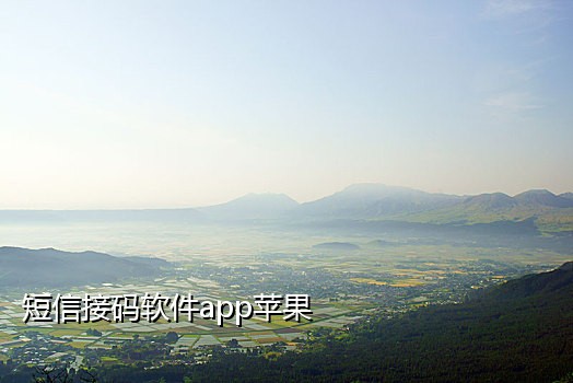 速码接码平台app手机版