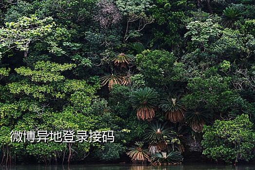 首码短信接码