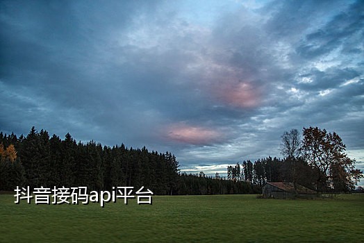 手机卡商接验证码违法吗