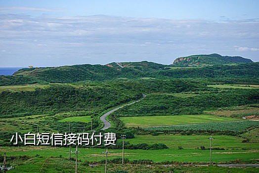 手机接语音验证码平台