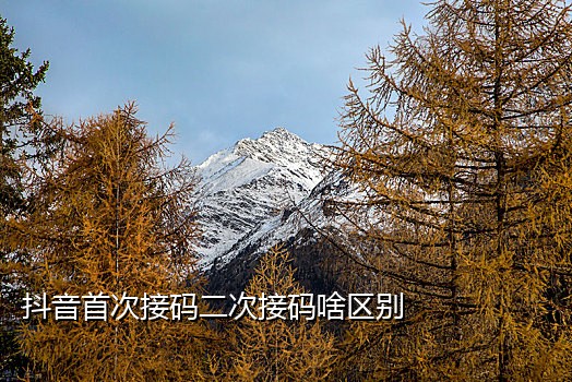 手机接验证码平台会知道吗安全吗