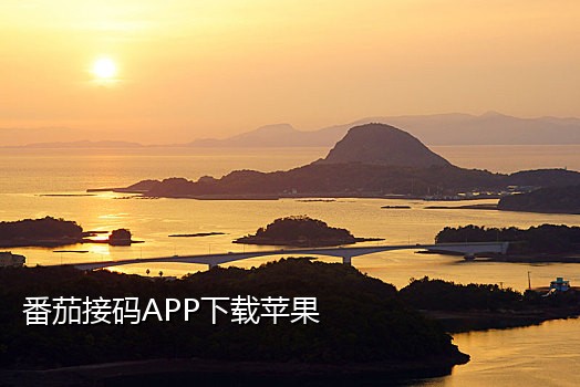 手机接验证码的项目叫什么