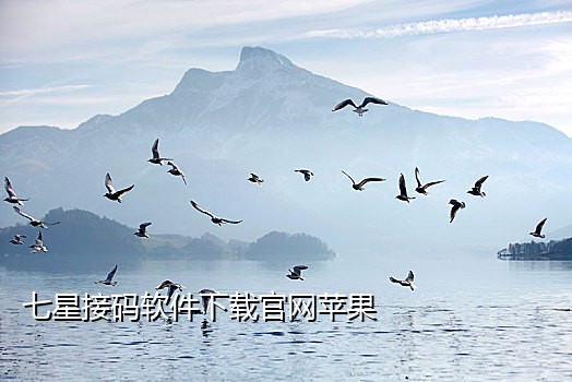 手机接码软件平台下载官网