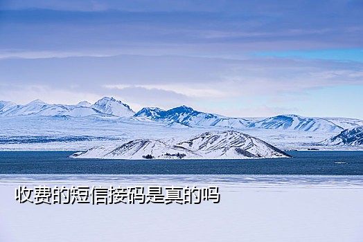 手机接码器软件