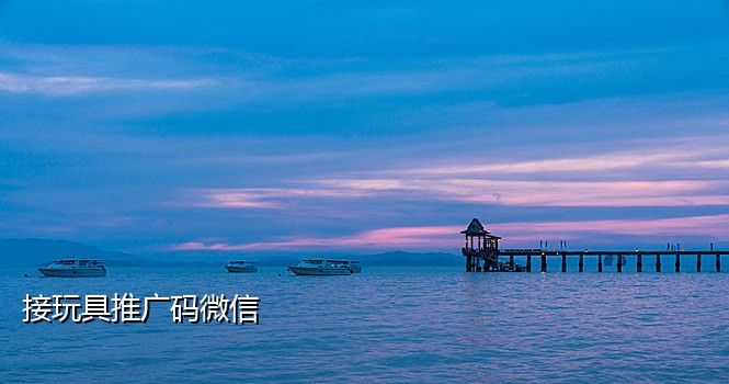 手机接码