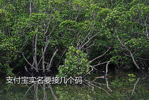 手机接蓝牙扫码枪