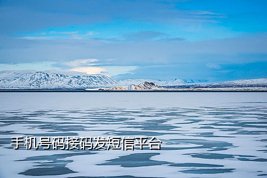 手机接短信验证码怎么赚钱