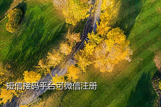 手机短信接码app免费